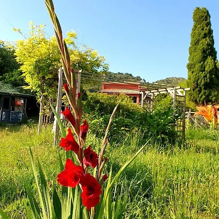 Col De Villefranche Alojamento de Acomodação e Pequeno-almoço *